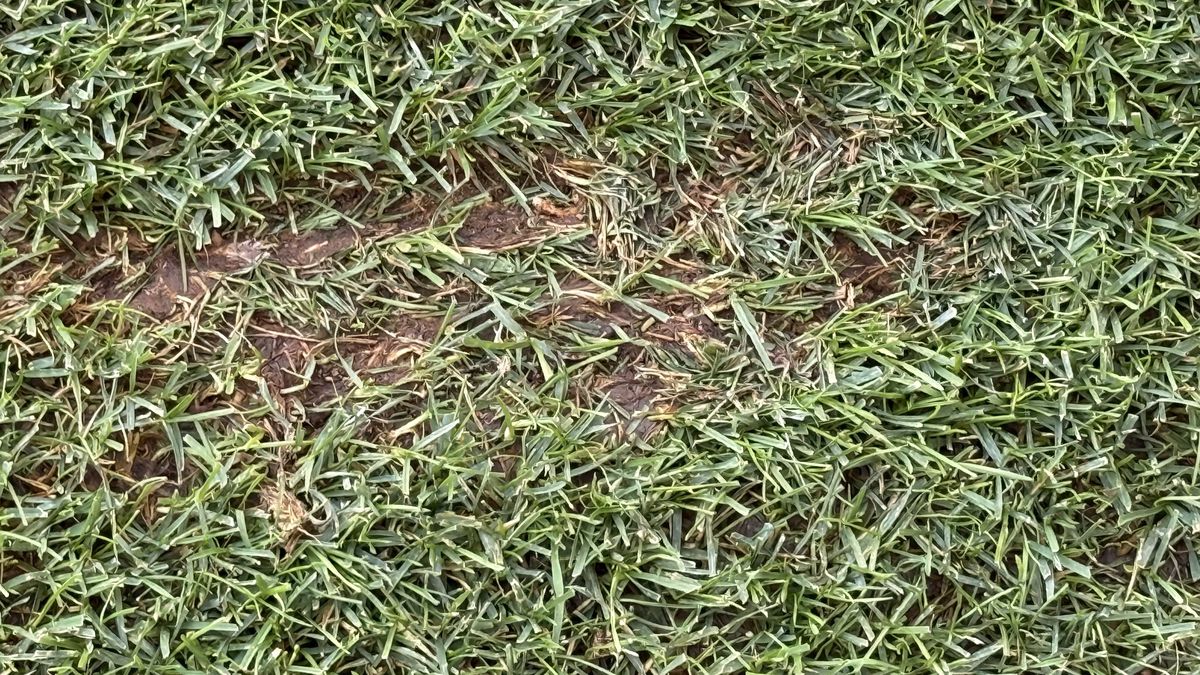 Arena Națională, cu 3 ore înainte de Rapid - FCSB