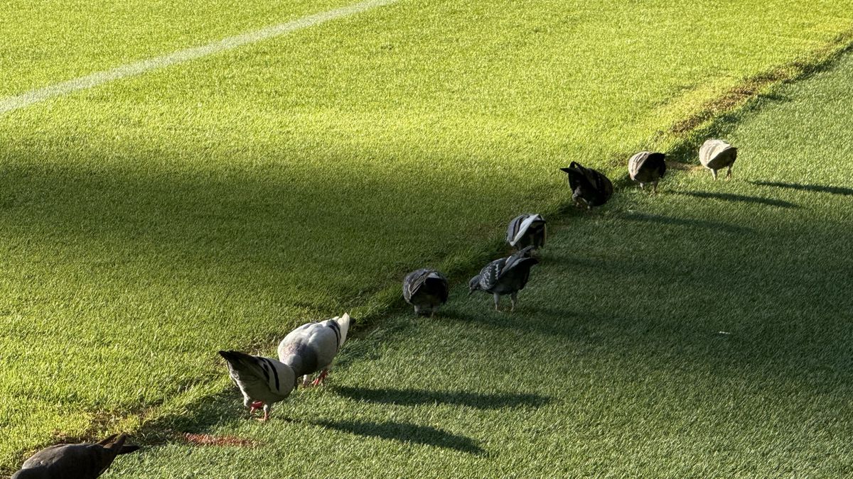 Arena Națională, cu 3 ore înainte de Rapid - FCSB