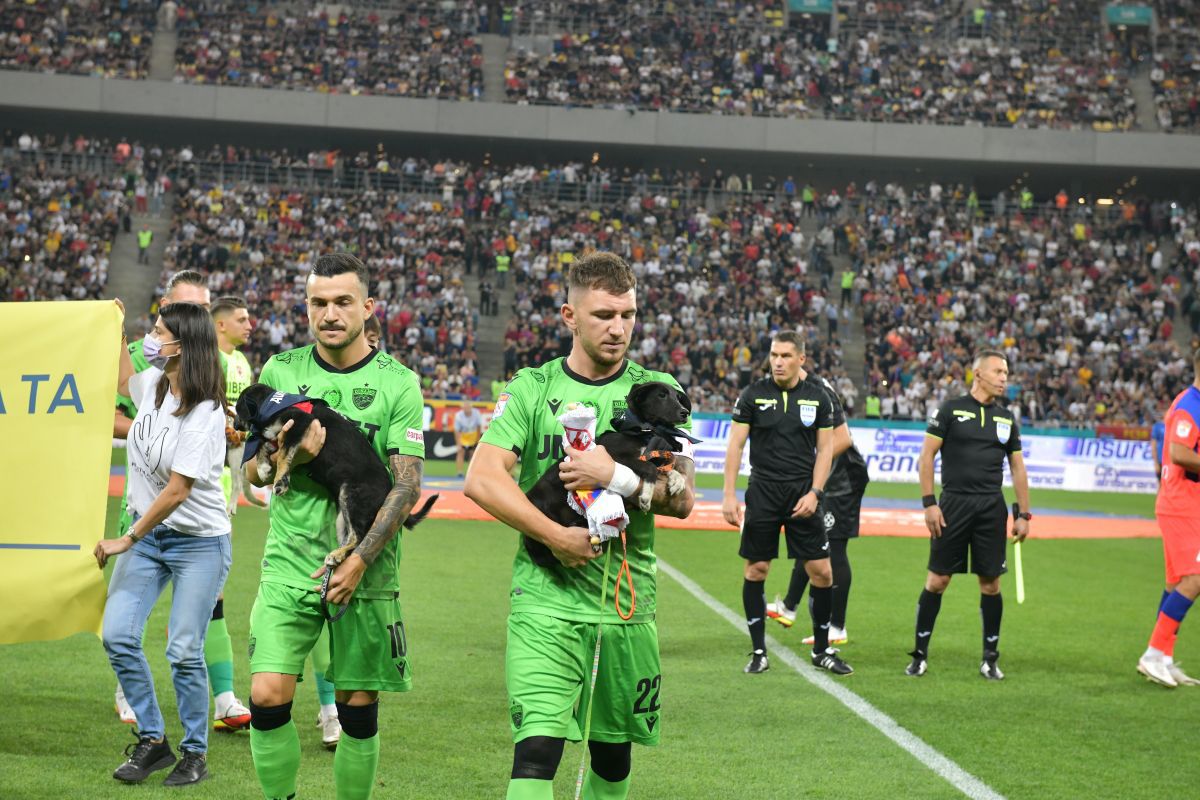 FOTO Dinamoviști și câini