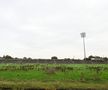 Imagini șocante surprinse acum șapte luni pe Casement Park din West Belfast, cu arena părăsită ce arată ca din perioada interbelică / Foto: GettyImages