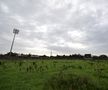 Imagini șocante surprinse acum șapte luni pe Casement Park din West Belfast, cu arena părăsită ce arată ca din perioada interbelică / Foto: GettyImages