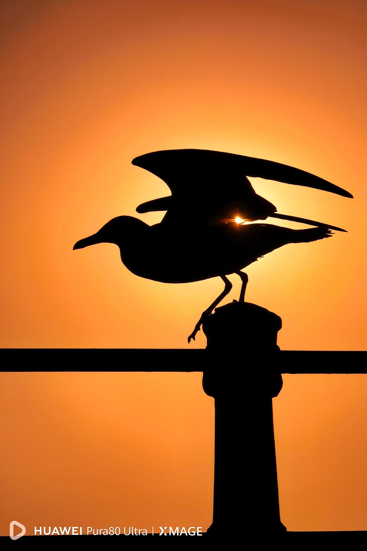 GALERIE FOTO | De la portrete dinamice la imagini cu luna: HUAWEI Pura 80 Ultra, telefonul care face spectacol