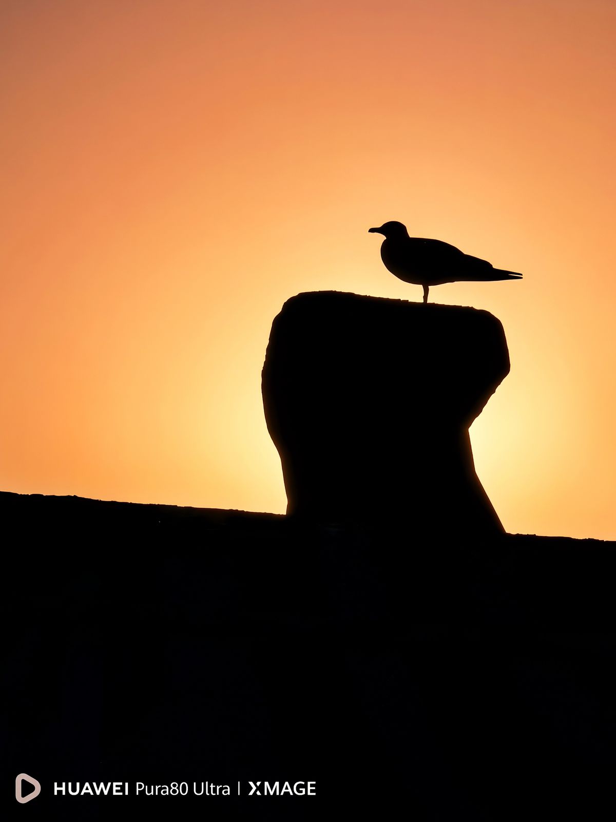 GALERIE FOTO | De la portrete dinamice la imagini cu luna: HUAWEI Pura 80 Ultra, telefonul care face spectacol