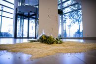 Fotbalul se poate schimba radical după atentatul de la Bruxelles. Ce a anunțat ofițerul de securitate al federației suedeze: „Ar fi anormal să nu o facem”