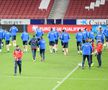 SPANIA - ROMÂNIA // CORESPONDENȚĂ GSP DIN SPANIA / VIDEO+FOTO Zâmbete „tricolore” pe Wanda Metropolitano, la antrenamentul oficial