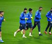 SPANIA - ROMÂNIA // CORESPONDENȚĂ GSP DIN SPANIA / VIDEO+FOTO Zâmbete „tricolore” pe Wanda Metropolitano, la antrenamentul oficial