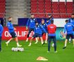 SPANIA - ROMÂNIA // CORESPONDENȚĂ GSP DIN SPANIA / VIDEO+FOTO Zâmbete „tricolore” pe Wanda Metropolitano, la antrenamentul oficial