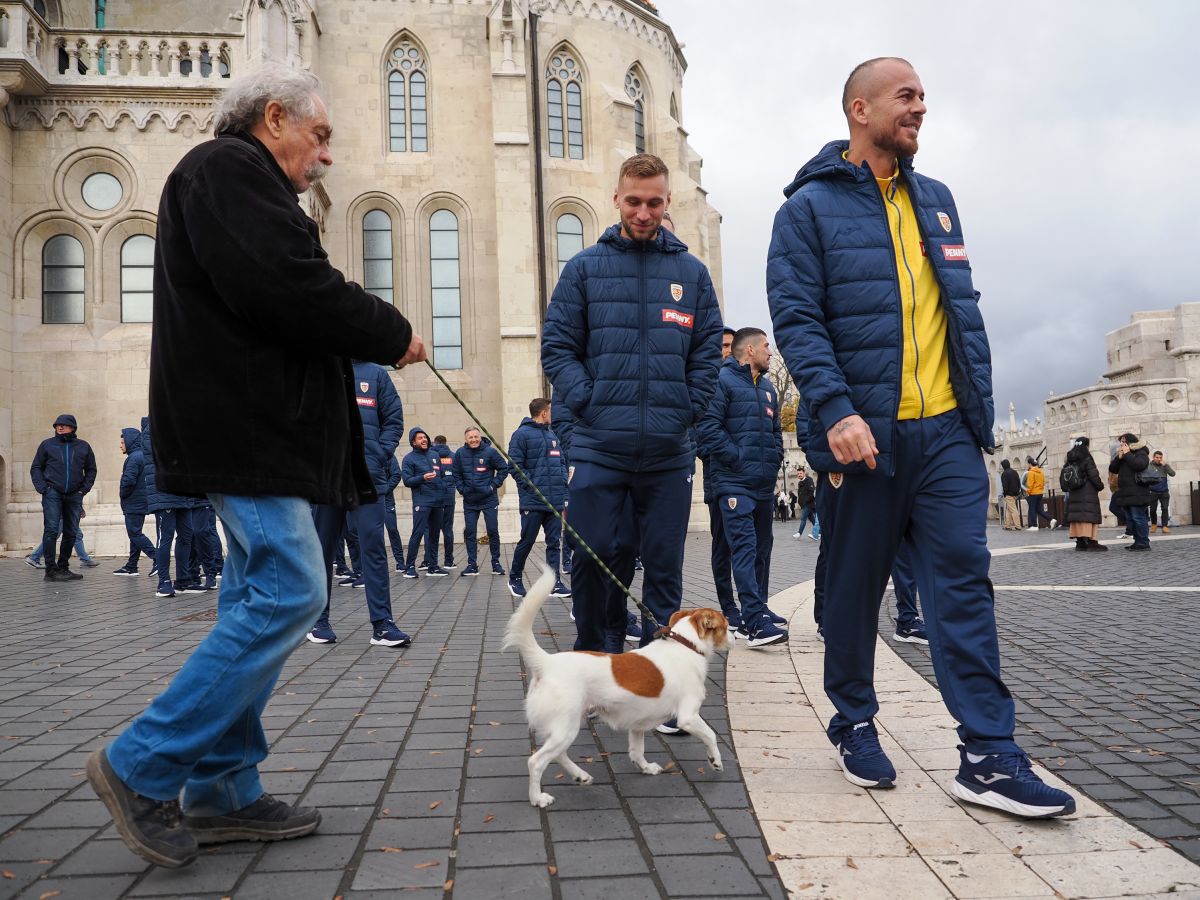 Prin vânt și ploaie spre EURO » „Tricolorii”, la plimbare fără Edi, dar cu Stoichiță înainte de Israel - România