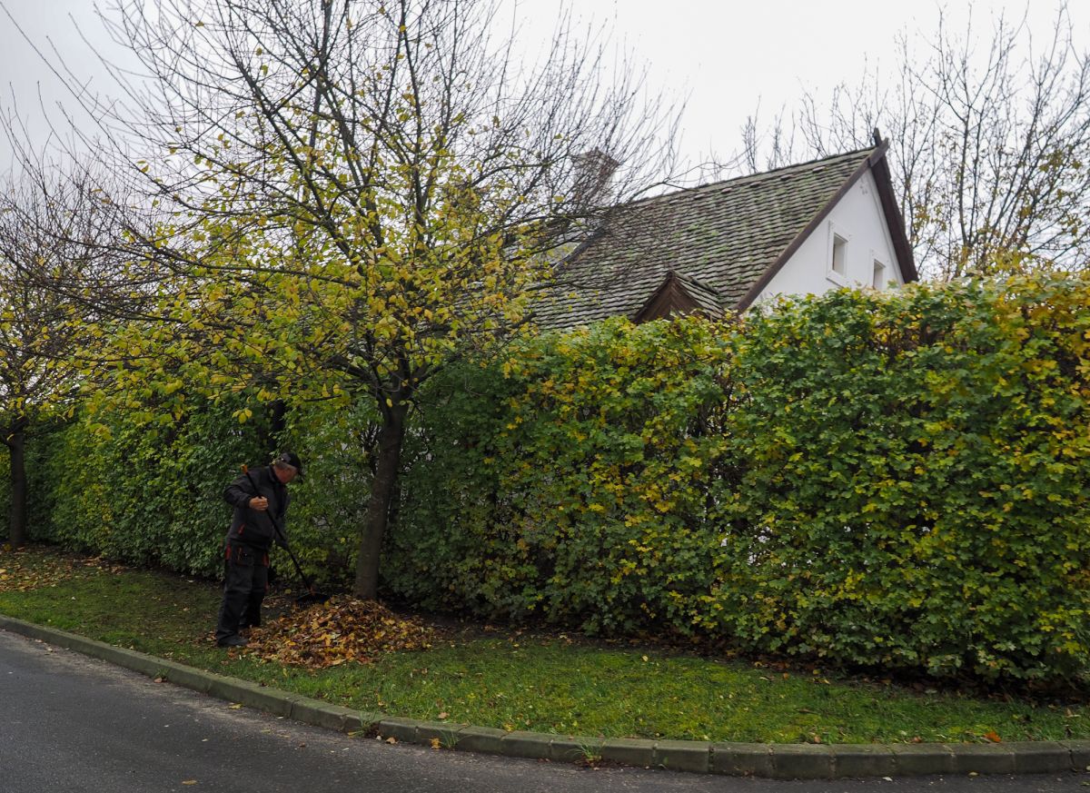 Stadionul Pancho al Academiei Puskas