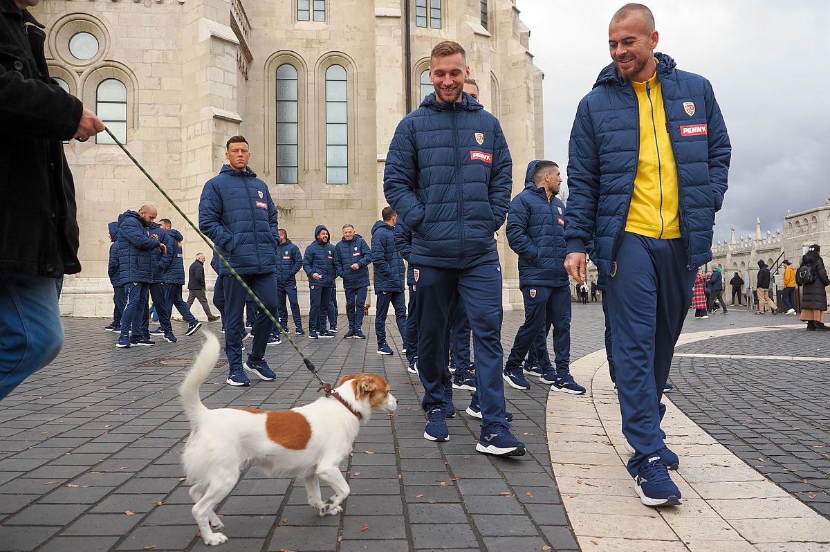 Prin vânt și ploaie spre EURO » „Tricolorii”, la plimbare fără Edi, dar cu Stoichiță înainte de Israel - România