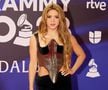 Latin Grammy 2023. Shakira a strălucit din nou (foto: Instagram)