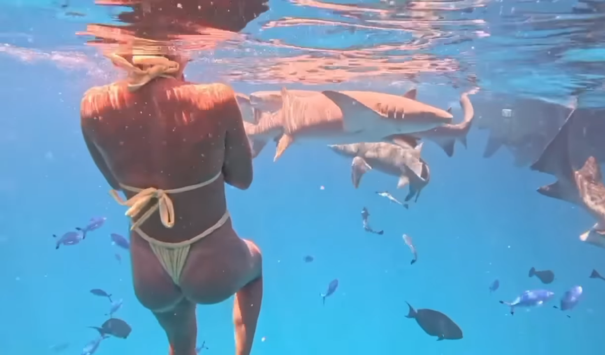 Aryna Sabalenka face SENZAȚIE în vacanța de vis din Maldive: a înotat cu rechinii