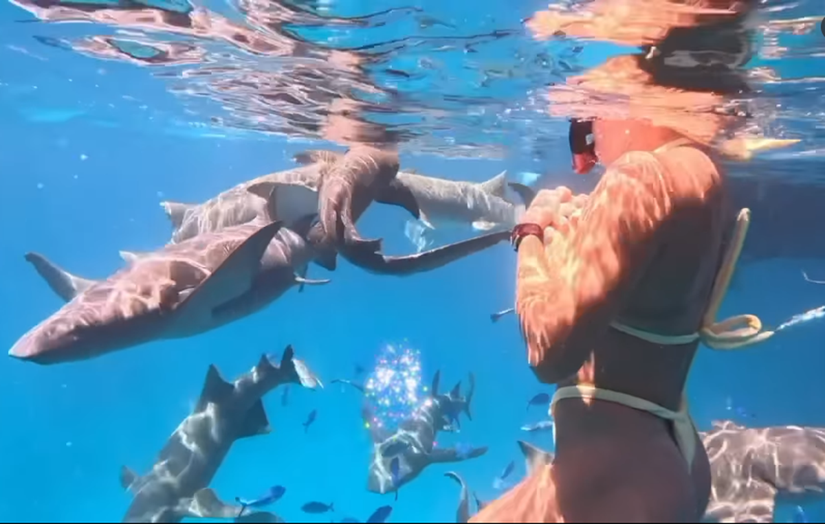 Aryna Sabalenka face SENZAȚIE în vacanța de vis din Maldive: a înotat cu rechinii