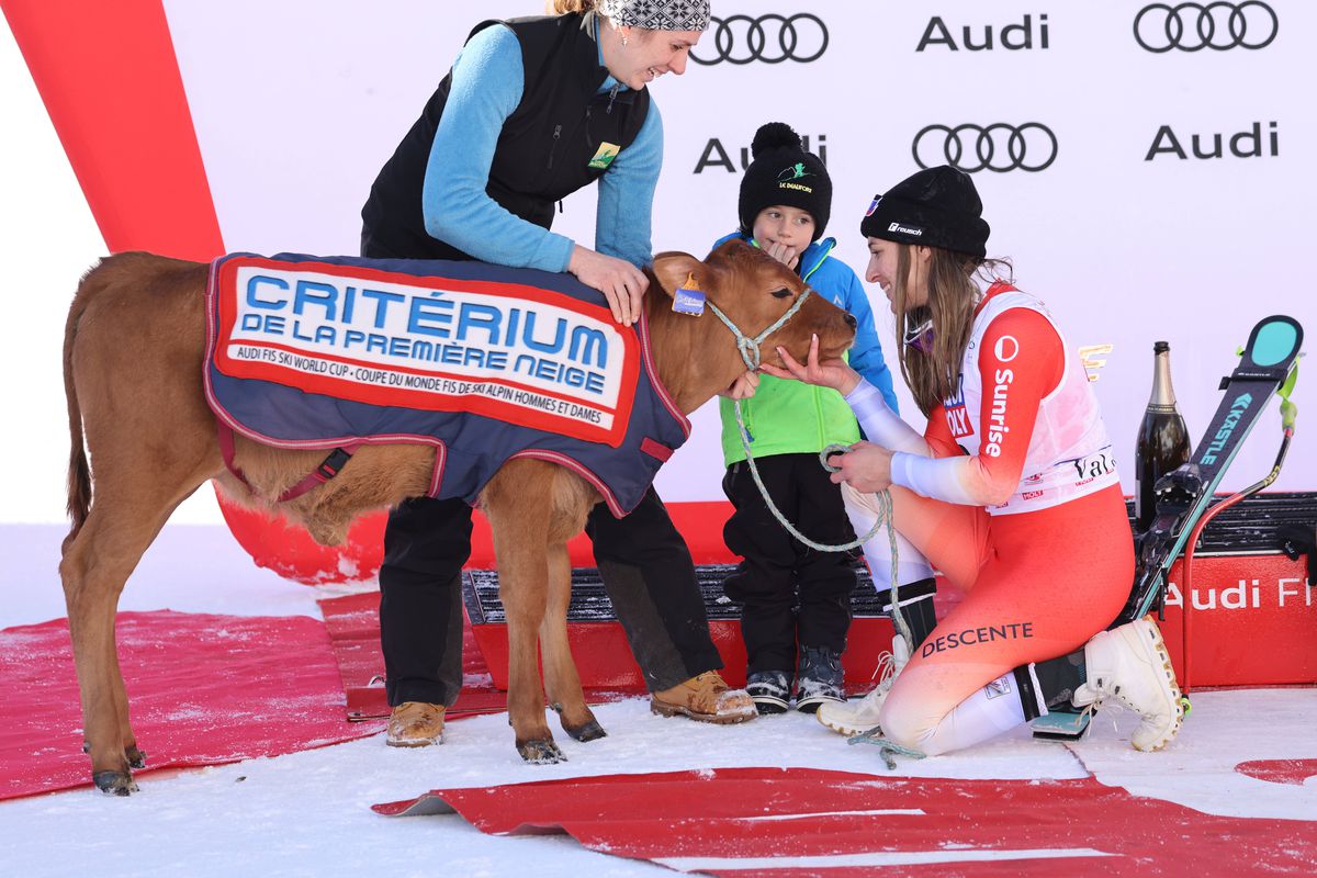 Premiu inedit la o etapă de Cupă Mondială de schi alpin » Jasmine Flury a primit un vițel după ce s-a impus în proba de coborâre