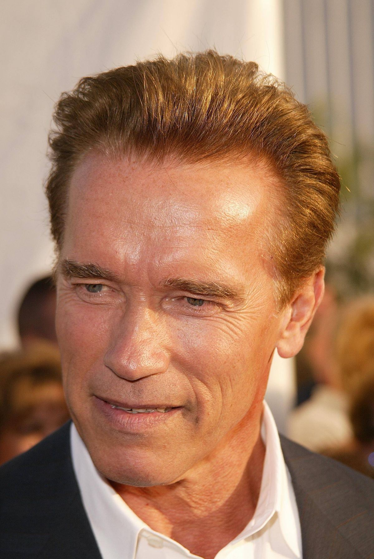 Final de coșmar pentru Arnold Schwarzenegger la Munchen » Reținut și șicanat 3 ore, și-a lăsat partenera drept garanție că se întoarce! „Nemții nu mai văd pădurea de copaci”