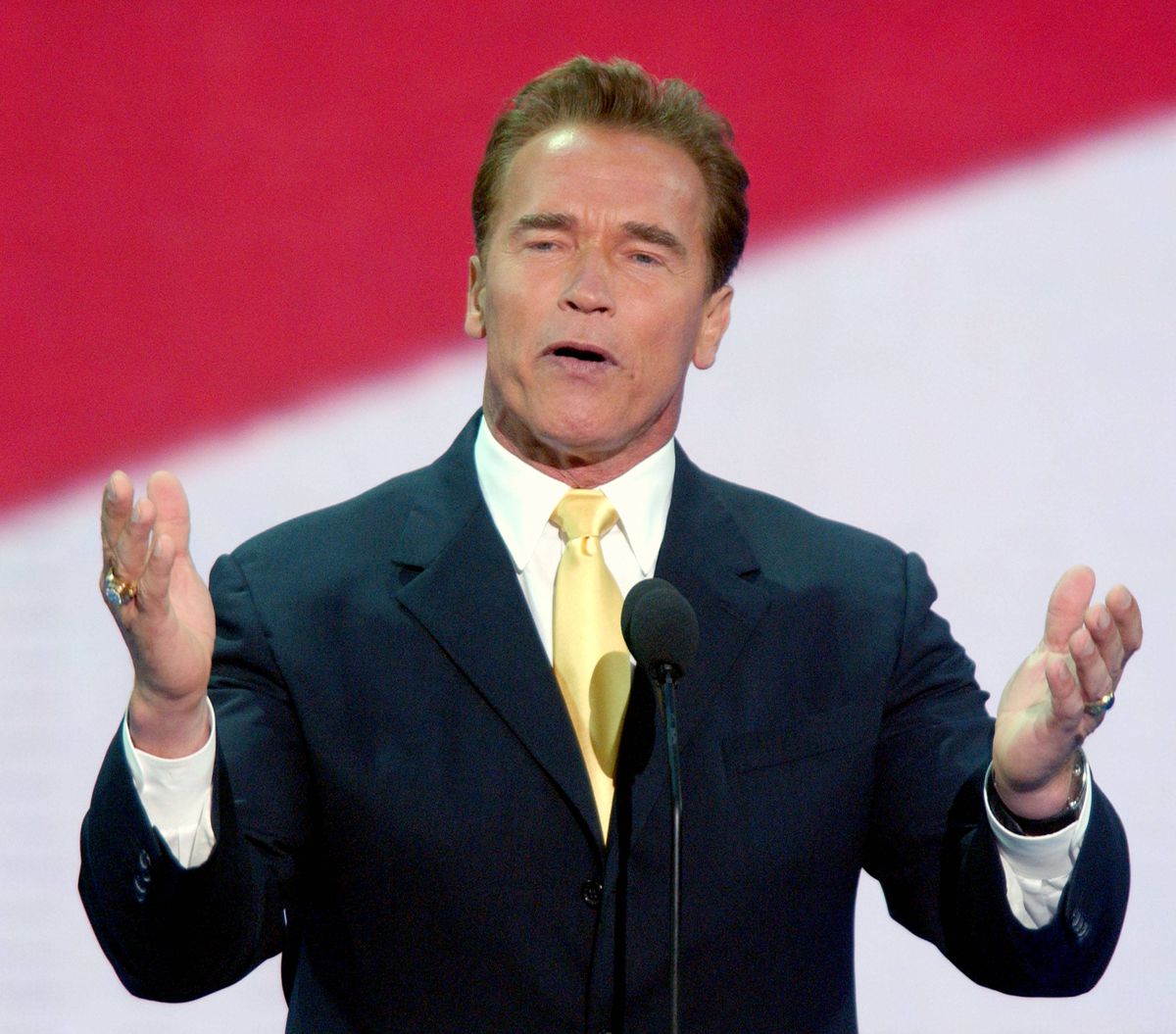 Arnold Schwarzenegger