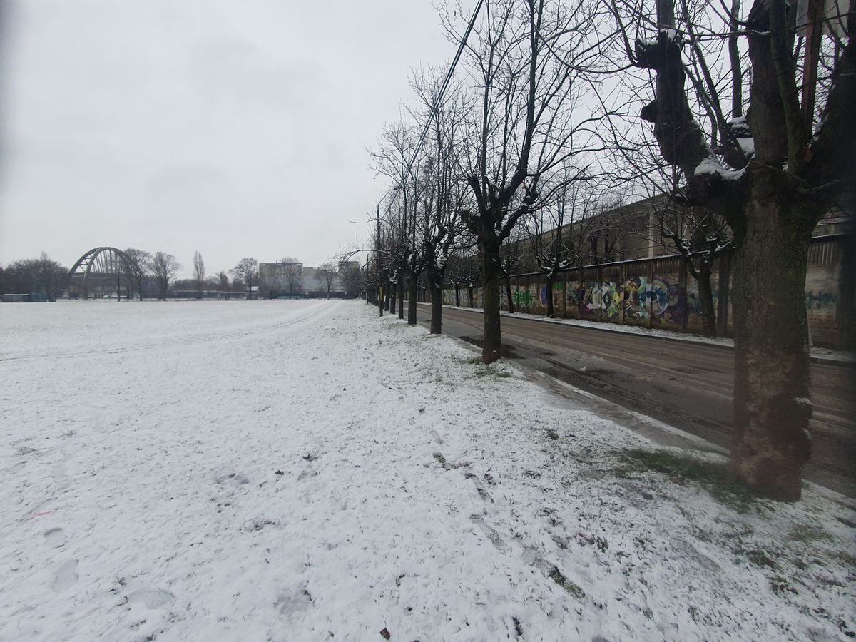 Teren Dedeman - stadion Bacău