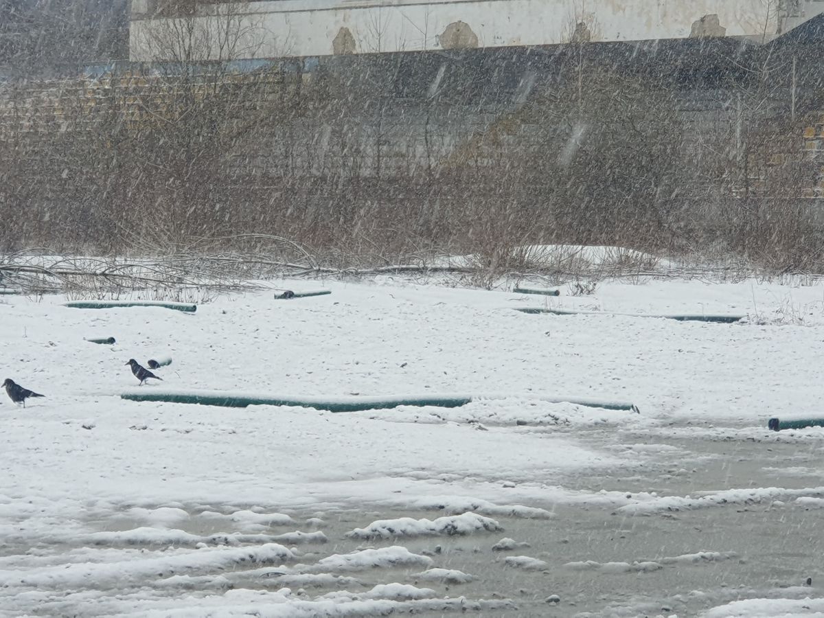 Ruină stadion Bacău - decembrie 2024