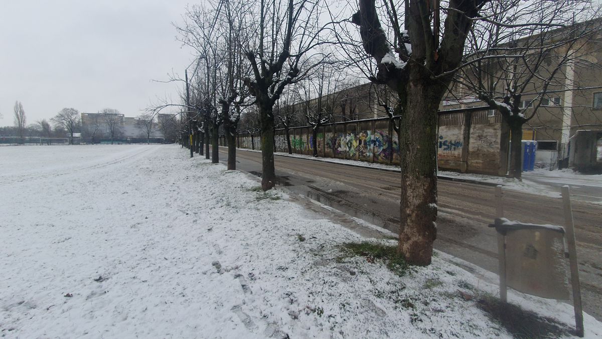 Teren Dedeman - stadion Bacău