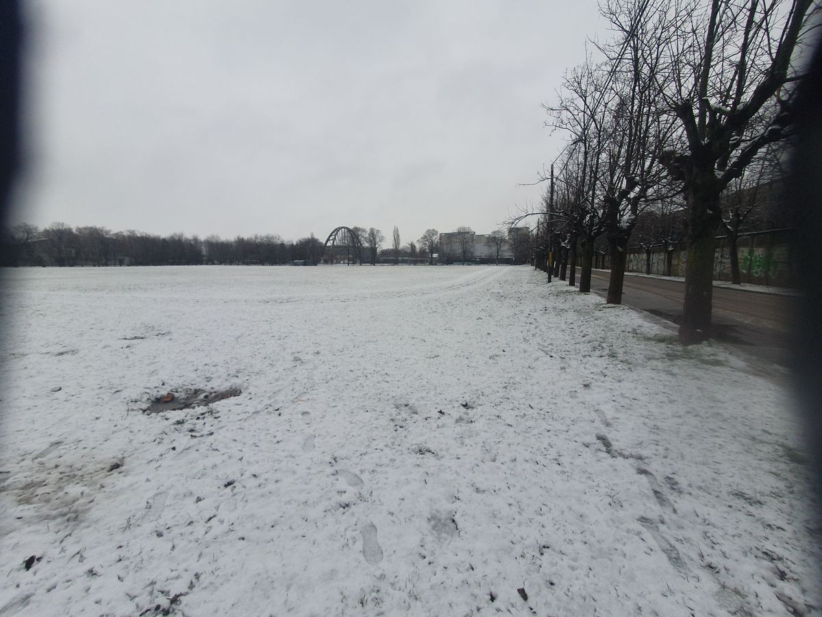 Teren Dedeman - stadion Bacău