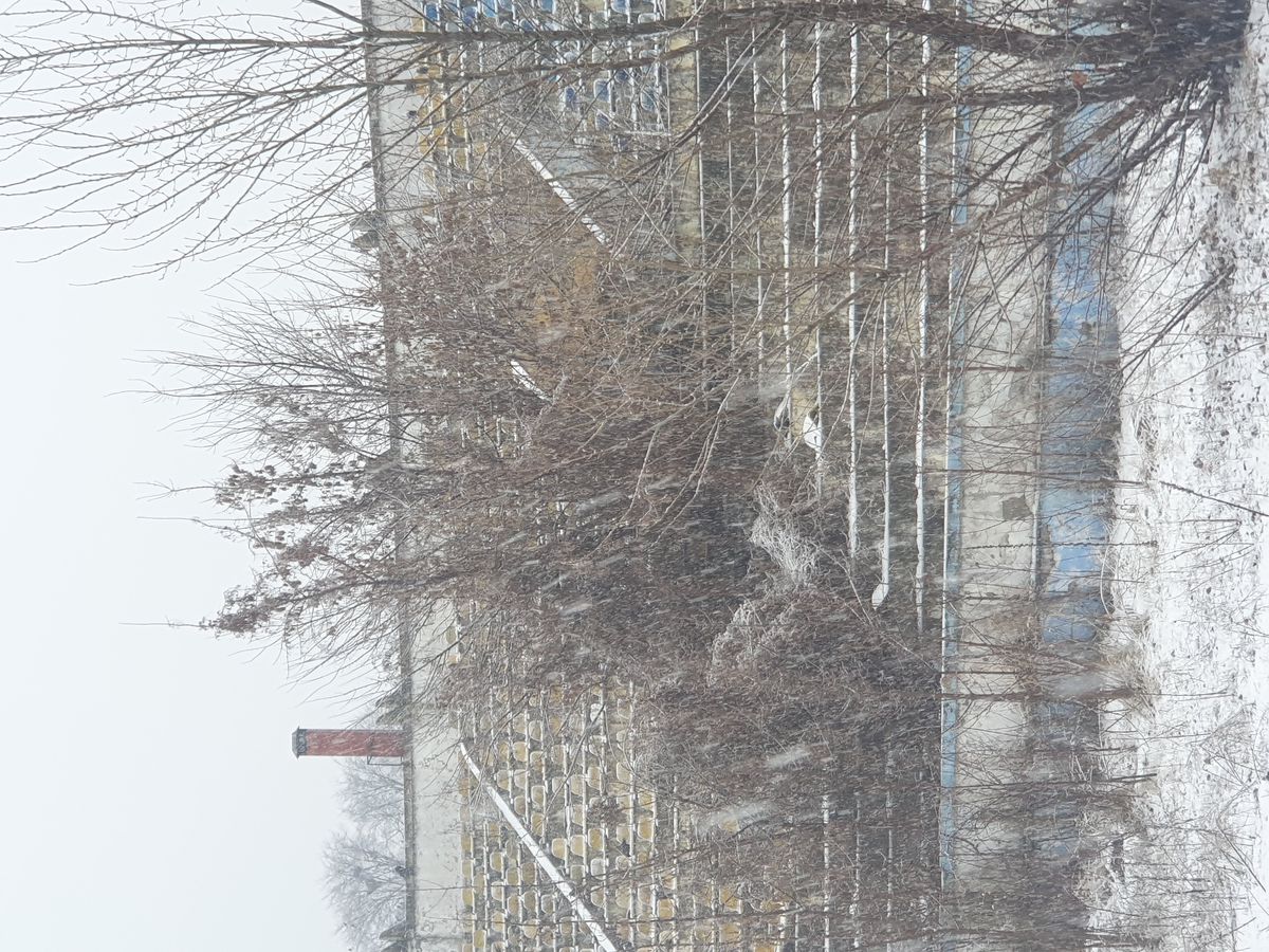 Ruină stadion Bacău - decembrie 2024