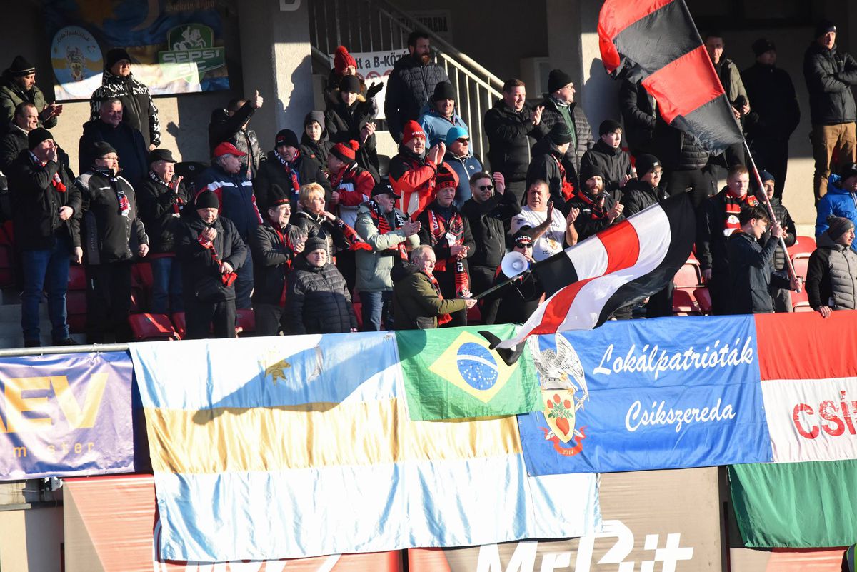 Csikszereda - FC Botoșani 1-0 » Fotbal dezghețat la Miercurea Ciuc: gazdele adâncesc criza Botoșaniului
