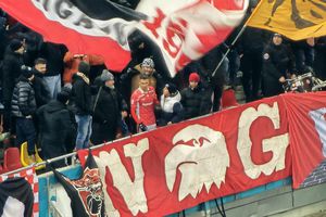 Cum a văzut Cătălin Cîrjan finalul partidei Dinamo - U Cluj