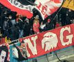 Imagini la finalul meciului Dinamo - U Cluj