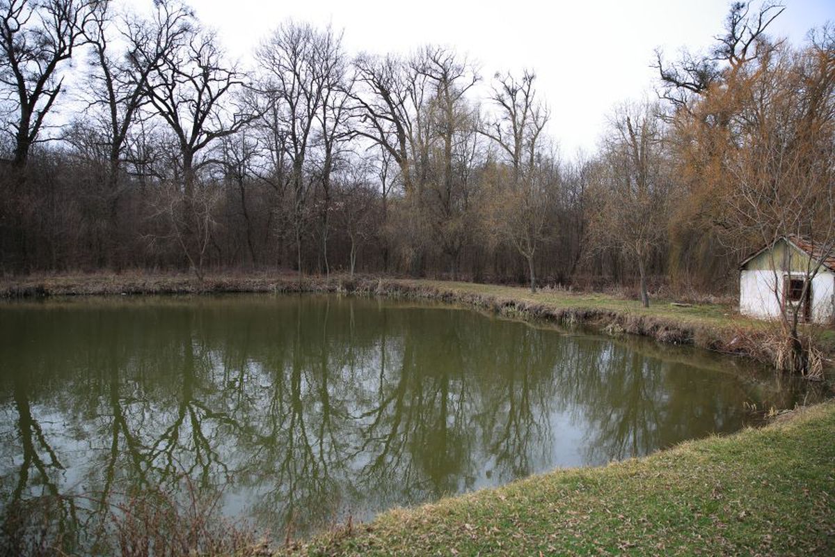 VIDEO EXCLUSIV Cum este elevul Octavian Popescu » Gazeta a stat de vorbă cu dirigentele lui: „Vă zic un secret”