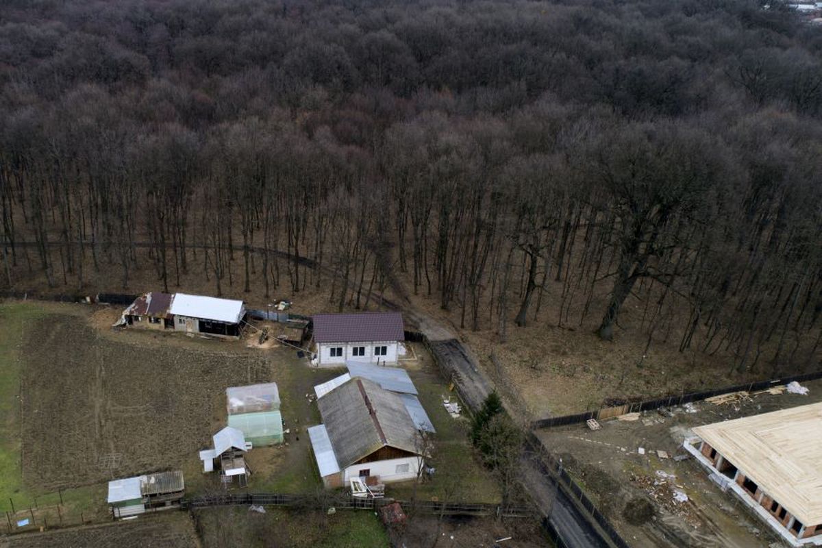 VIDEO EXCLUSIV Directorul liceului unde învață Octavian Popescu are o rugăminte specială: „De asta îl aștept cu nerăbdare pe domnul Becali la noi”