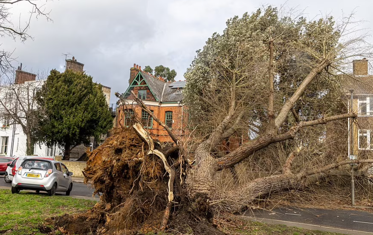 Acoperiș arena O2, distrus de furtună