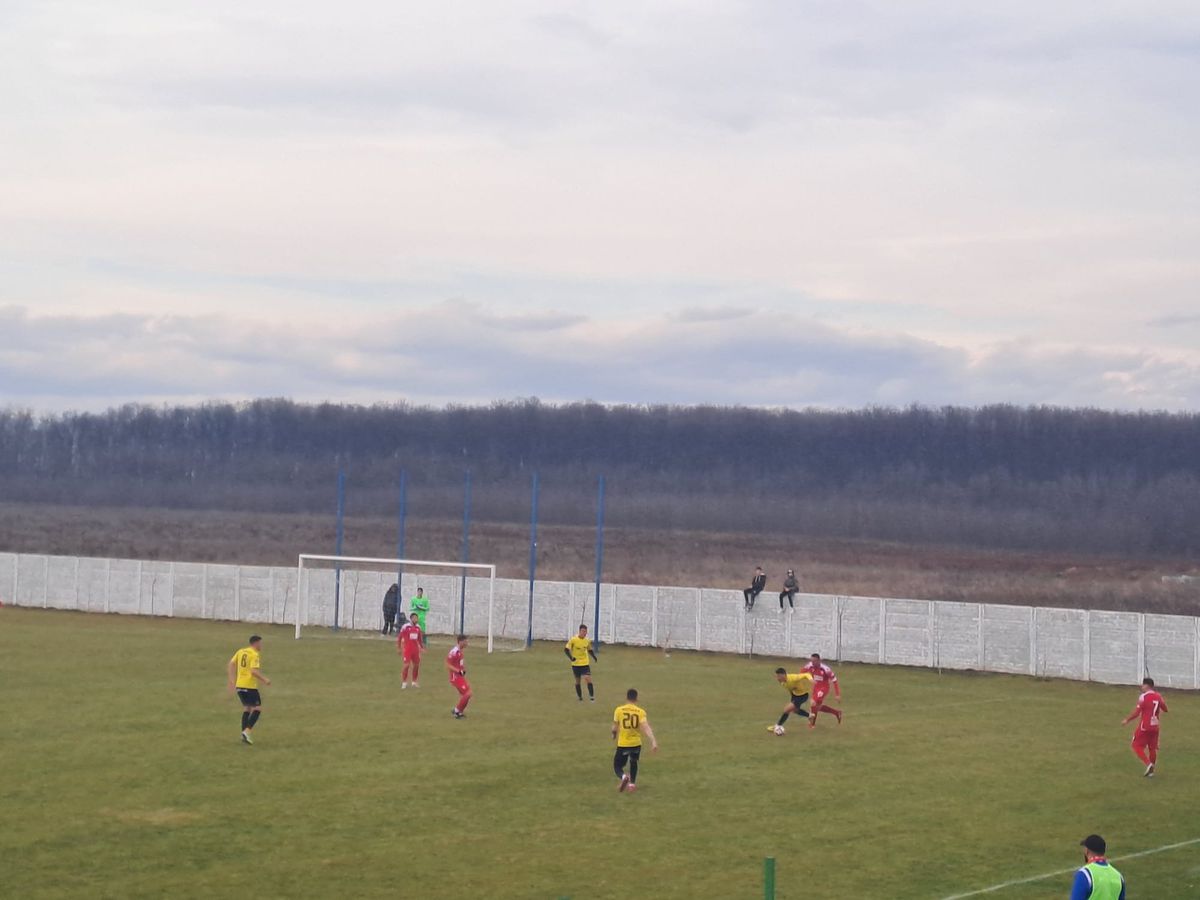 Dinamo - FC Brașov 2-1. Victorie convingătoare a „câinilor” cu o rivală la promovare!