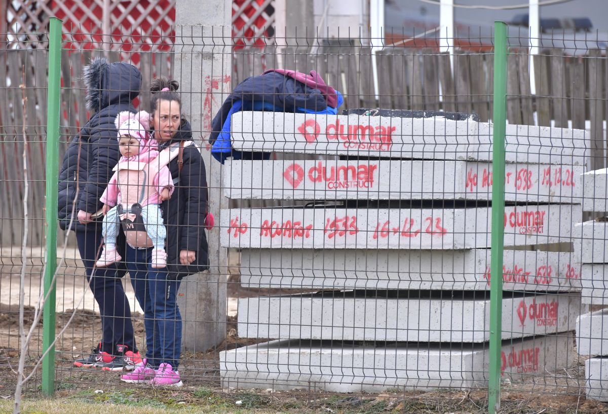 Dinamo - FC Brașov 2-1. Victorie convingătoare a „câinilor” cu o rivală la promovare!