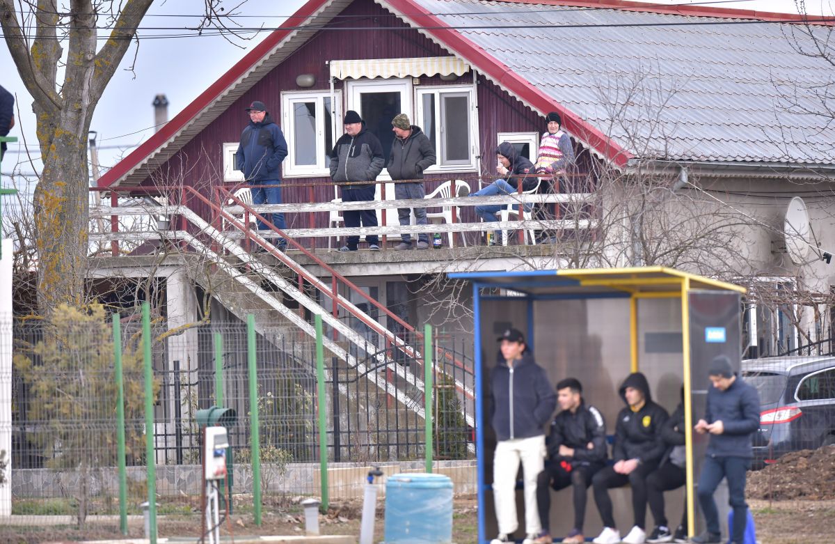 Dinamo - FC Brașov 2-1. Victorie convingătoare a „câinilor” cu o rivală la promovare!