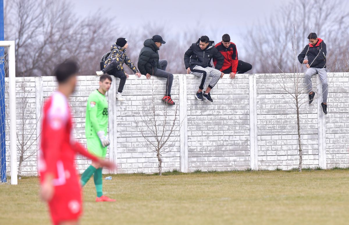 Dinamo - FC Brașov 2-1. Victorie convingătoare a „câinilor” cu o rivală la promovare!