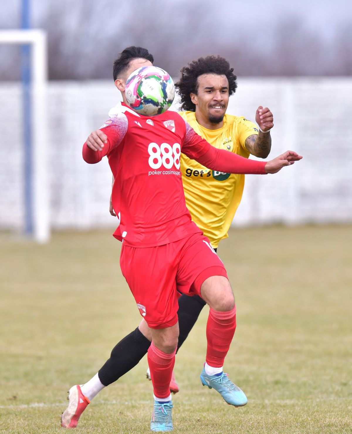 Dinamo - FC Brașov 2-1. Victorie convingătoare a „câinilor” cu o rivală la promovare!