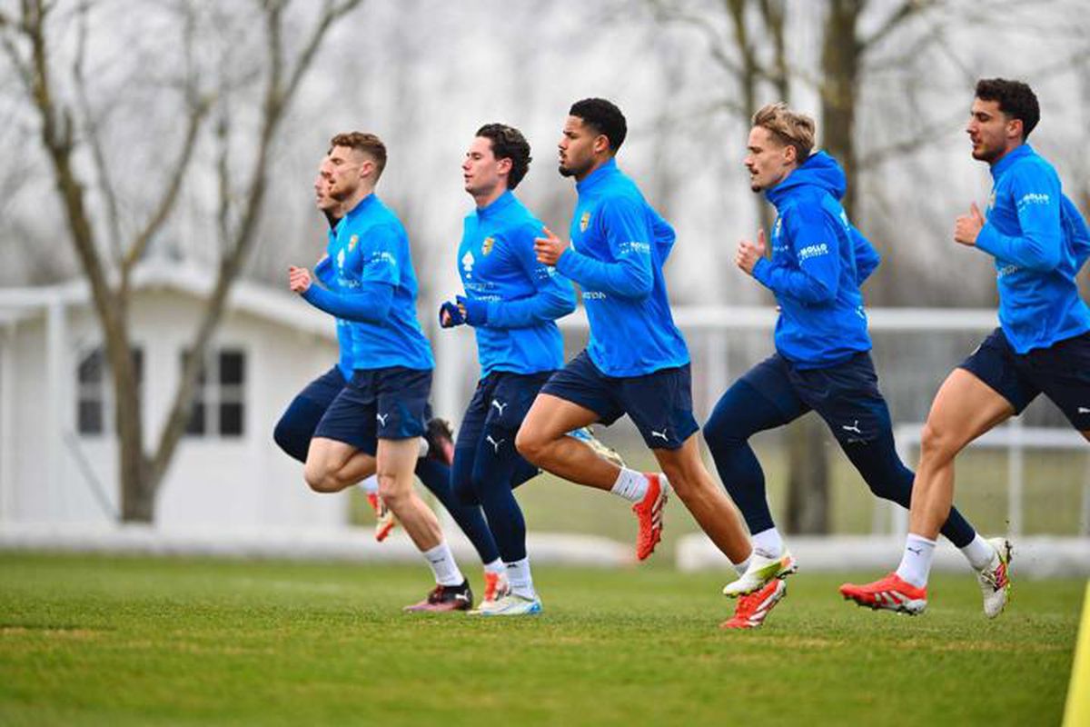 Un milion de euro pentru Cristi Chivu: clauza miraculoasă strecurată în contractul cu Parma! + Cine și cum a instrumentat din umbră instalarea românului