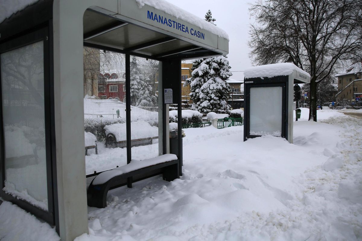 Zăpadă București - februarie 2026
