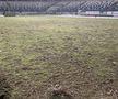 Gazonul arenei din Iași, în urma partidei de rugby România - Belgia. Foto: Ovidiu Minea (GSP)