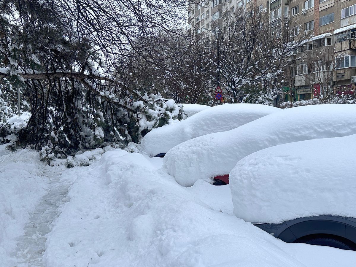 Zăpadă București - februarie 2026
