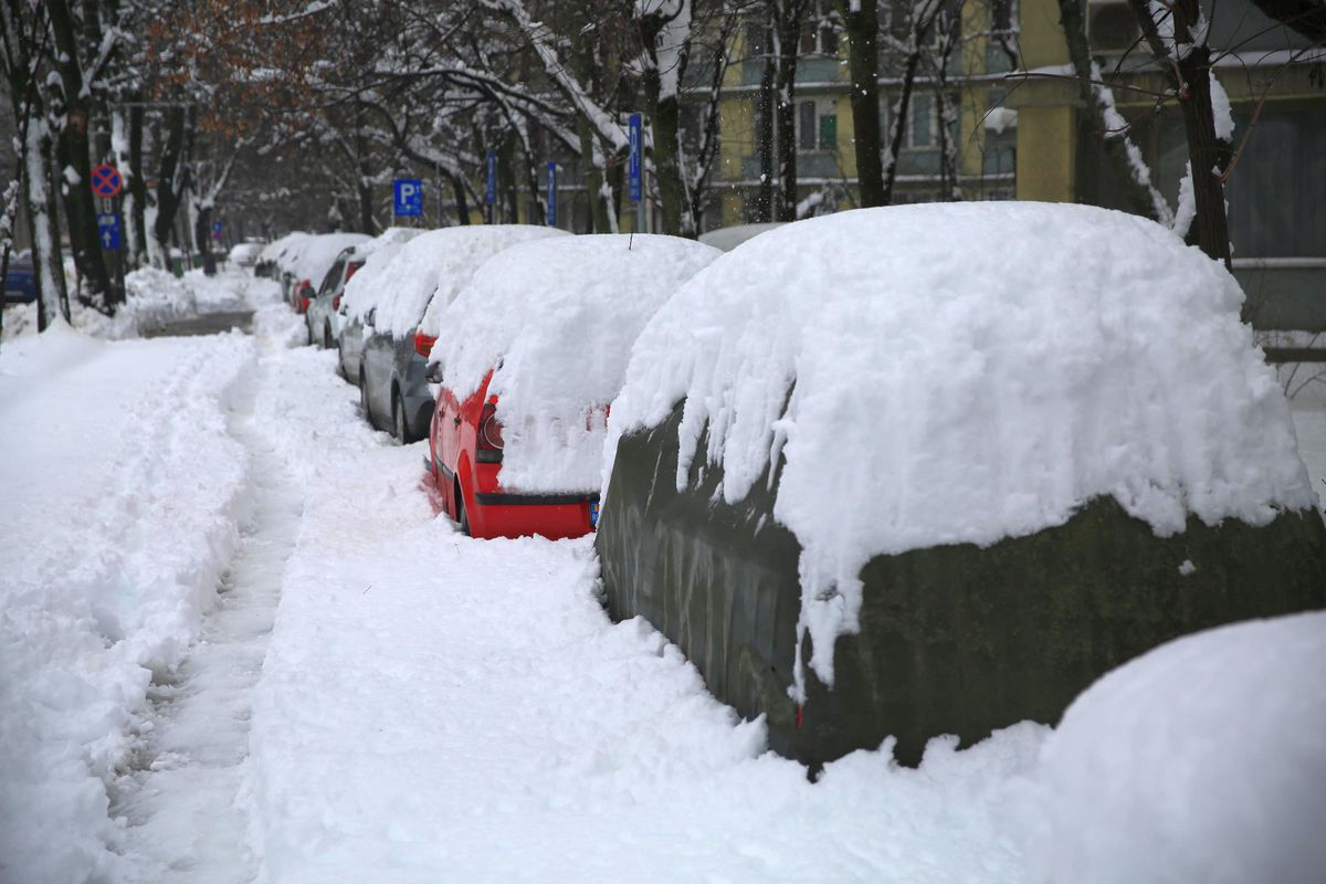 Zăpadă București - februarie 2026