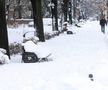 Iarna a pus stăpânire pe București - 18 februarie 2026. Foto: Ionuț Iordache (GSP.RO)