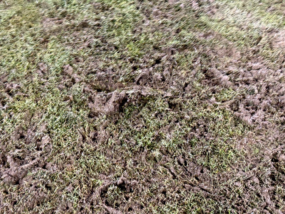 Scenariul pe care primăria nu și l-a putut imagina » Cum s-au risipit 500.000€ în 80 de minute: „Mare lucru nu se mai poate face”