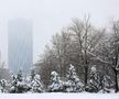 Iarna a pus stăpânire pe București - 18 februarie 2026. Foto: Ionuț Iordache (GSP.RO)