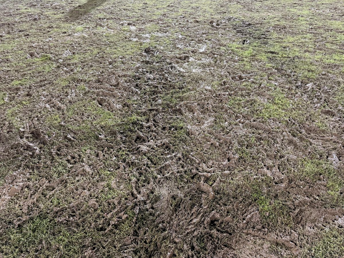 Scenariul pe care primăria nu și l-a putut imagina » Cum s-au risipit 500.000€ în 80 de minute: „Mare lucru nu se mai poate face”