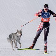 Un câine pe traseu la Jocurile Olimpice, foto: Imago