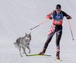 Un câine pe traseu la Jocurile Olimpice, foto: Imago