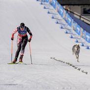 Un câine pe traseu la Jocurile Olimpice, foto: Imago