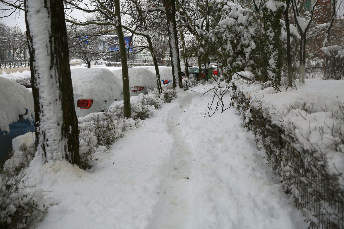 Olimpiada de Iarnă de la București, peste Milano Cortina » Imagini spectaculoase, dar și șocante din Capitală