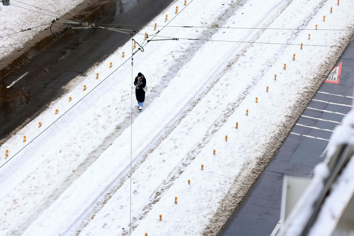 Zăpadă București - februarie 2026